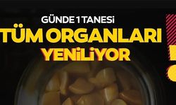 TÜM ORGANLARI YENİLİYOR!