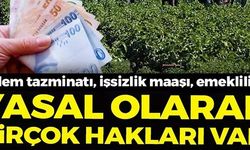 YASAL OLARAK BİRÇOK HAKLARI VAR!