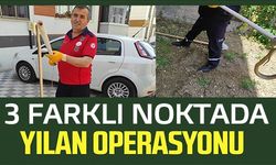 3 FARKLI NOKTADA YILAN OPERASYONU!