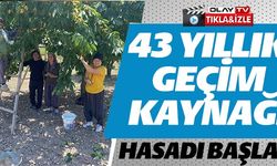 43 YILLIK GEÇİM KAYNAĞI