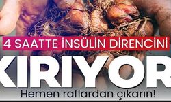 4 SAATTE İNSÜLİN DİRENCİNİ KIRIYOR!