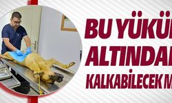 BU YÜKÜN ALTINDAN KALKABİLECEK Mİ?