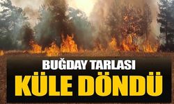 BUĞDAY TARLASI KÜLE DÖNDÜ