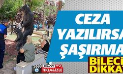 CEZA YAZILIRSA ŞAŞIRMA