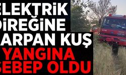 ELEKTRİK DİREĞİNE ÇARPAN KUŞ YANGINA NEDEN OLDU