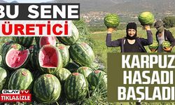 KARPUZ HASADI BAŞLADI