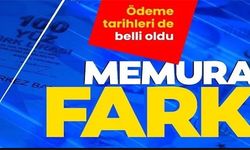 MEMURA FARK