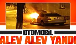 OTOMOBİL ALEV ALEV YANDI!