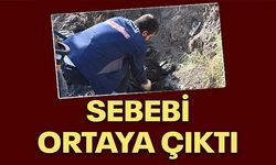 SEBEBİ ORTAYA ÇIKTI