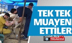 TEK TEK MUAYENE ETTİLER