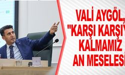 VALİ AYGÖL GEREKLİ TEDBİRLERİ ALIYOR