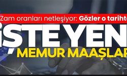 ZAM ORANLARI NETLEŞİYOR