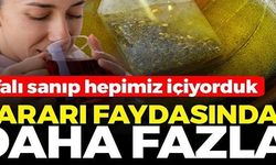 ZARARI FAYDASINDAN DAHA FAZLA!