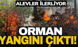 ALEVLER İLERLİYOR!