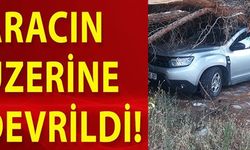 ARACIN ÜZERİNE DEVRİLDİ!