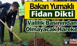 BAKAN YUMAKLI FİDAN DİKTİ