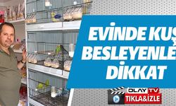 EVİNDE KUŞ BESLEYENLER DİKKAT!