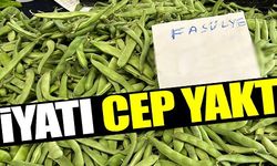 FİYATI CEP YAKTI