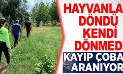 HAYVANLAR DÖNDÜ KENDİ DÖNMEDİ