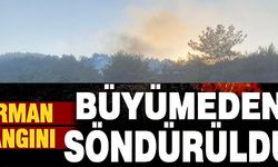 ORMAN YANGINI BÜYÜMEDEN SÖNDÜRÜLDÜ