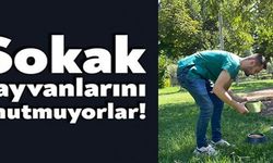 SOKAK HAYVANLARINI UNUTMADILAR!