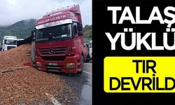 TALAŞ YÜKLÜ TIR DEVRİLDİ!