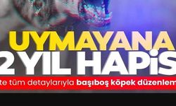 UYMAYANA 2 YIL HAPİS