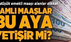ZAMLI MAAŞLAR BU AYA YETİŞİR Mİ?