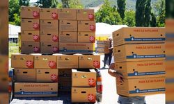 1 MİLYON 400 BİN FİDE DAĞITILDI