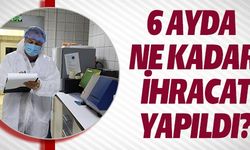 6 AYDA NE KADAR İHRACAT YAPILDI?