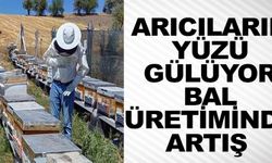 ARICILARIN YÜZÜ GÜLÜYOR