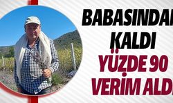 BABASINDAN KALDI YÜZDE 90 VERİM ALDI