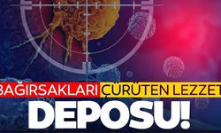 BAĞIRSAKLARI ÇÜRÜTEN LEZZET DEPOSU