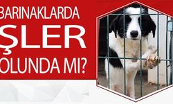 BARINAKLARDA İŞLER YOLUNDA MI?