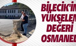 BİLECİK'İN YÜKSELEN DEĞERİ OSMANELİ