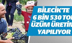 BİLECİK'TE 6 BİN 530 TON ÜZÜM ÜRETİMİ YAPILIYOR