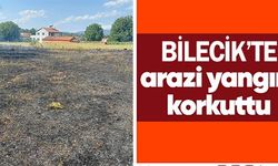 BİLECİK'TE ARAZİ YANGINI!