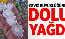 CEVİZ BÜYÜKLÜĞÜNDE DOLU YAĞDI