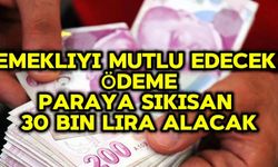 EMEKLİYİ MUTLU EDECEK ÖDEME: PARAYA SIKIŞAN 30 BİN LİRA ALACAK