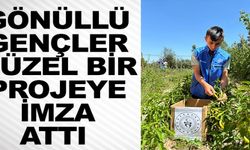 GÖNÜLLÜ GENÇLER GÜZEL BİR PROJEYE İMZA ATTI