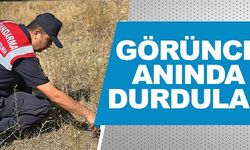 GÖRÜNCE ANINDA DURDULAR