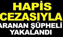 HAPİS CEZASIYLA ARANAN ŞÜPHELİ YAKALANDI