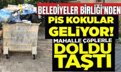 MAHALLE ÇÖPLERLE DOLDU TAŞTI