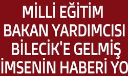 MİLLİ EĞİTİM BAKAN YARDIMCISI BİLECİK'E GELMİŞ KİMSENİN HABERİ YOK