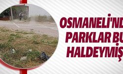 OSMANELİ'NDE PARKLAR BU HALDEYMİŞ