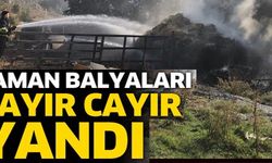 SAMAN BALYALARI CAYIR CAYIR YANDI