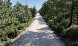 SPORSEVERLERİN YENİ ADRESİ BELLİ OLDU