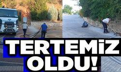 TERTEMİZ OLDU!