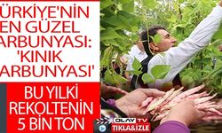 TÜRKİYE'NİN EN GÜZEL BARBUNYASI: 'KINIK BARBUNYASI'