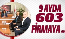 9 AYDA 603 FİRMAYA...